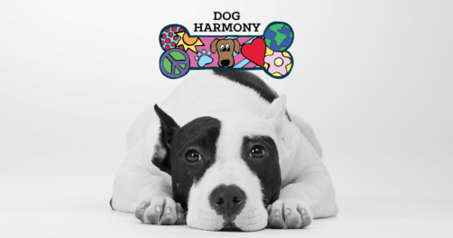 Dog-Harmony’s Racquets for Rescues Sept 28