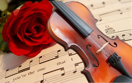 Heart Strings Violin