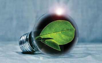 Energy Savings Light Bulb W Leaf