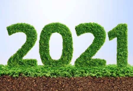 2021 Green Ecology Year Concept