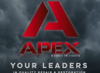 Apex Logo Leaders