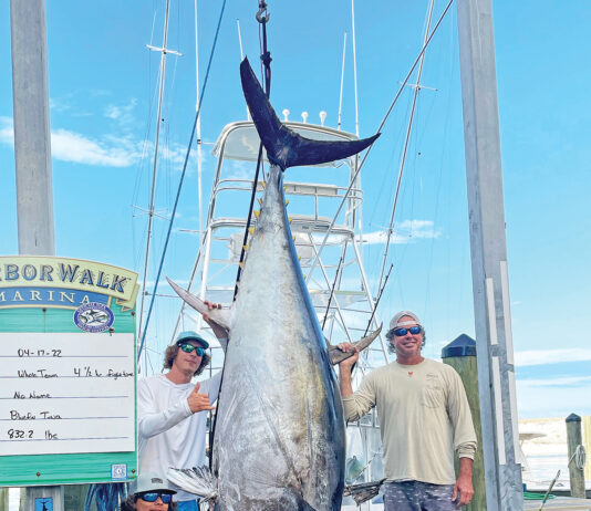 Big Tuna 1